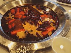 -DaLongYi Hot Pot 大龙燚火锅