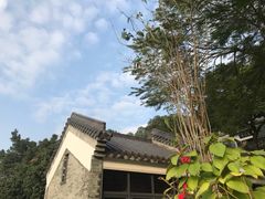 -广州神农草堂中医药博物馆