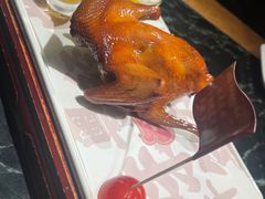 -大鸽饭(北京路店)