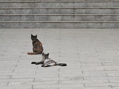 -长辛店二七公园