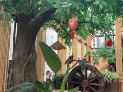 -大理董·董家小厨野生菌火锅(古城旗舰店)