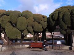 -丽池公园