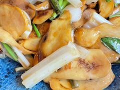 野芫荽炒牛肝菌-半山腰·云南菜(侨福芳草地店)