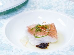东星斑配黑蒜有机豆豉-觅唐MITONG(鸟巢店)