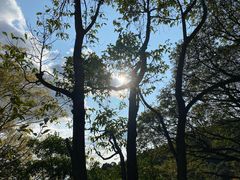 -罗浮山-南楼寺