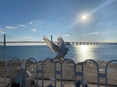 -星海广场