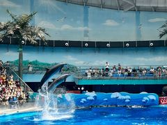 -海合安成都极地海洋公园