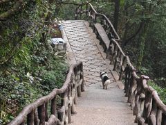 -萍乡武功山风景名胜区