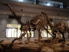 -自贡恐龙博物馆