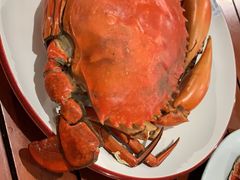 -海盗餐厅