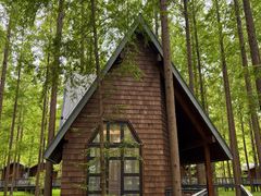 -黄海国家森林公园