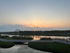 -春花秋色城市公园