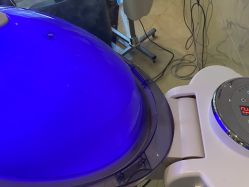 -碧莲盛·不剃发植发