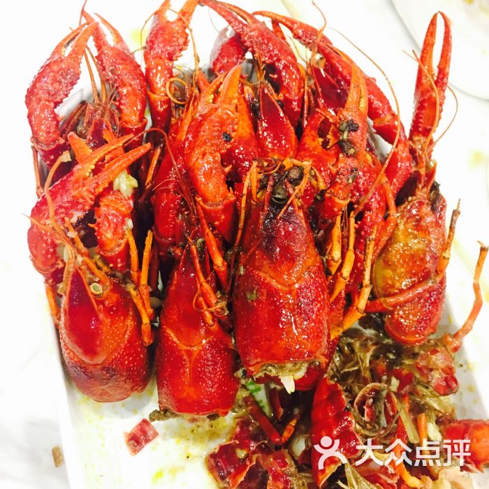 只要大肚皮龙虾图片 - 第3张
