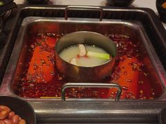 -鼎膳常火锅(华阳店)