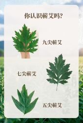 -可樱汇·美容洗发SPA