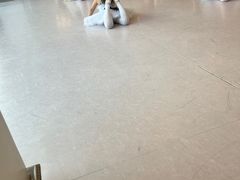 -卡普兰芭蕾舞学校(西固校区)