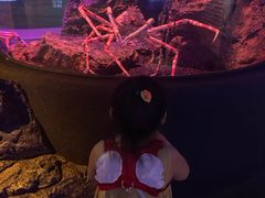 -暹罗海洋世界