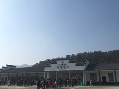 -千年银杏谷文化旅游区