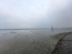 -江山半岛白浪滩景区