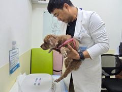 -美联众合动物医院·24h转诊中心