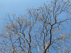 -相门城墙文化休闲景区