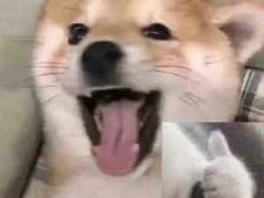 -Angelina安吉丽娜(恒隆广场店)