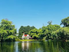 -上海共青森林公园