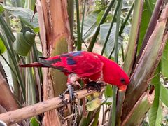 -南宫五洲植物乐园