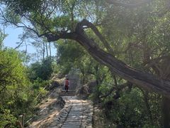 -鸿山公园