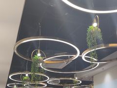 -东方饺子王(新奥购物中心店)