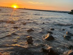 -宝安西湾红树林湿地公园