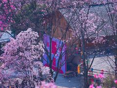 -九皇山景区