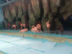 -哈尔滨极地公园