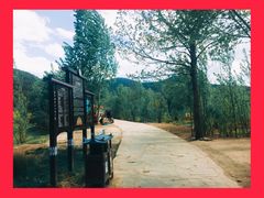 -泸沽湖国家级风景名胜区走婚桥