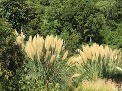 -贵阳市花溪国家城市湿地公园