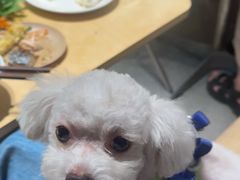 -双拼市场·烧烤精酿啤酒