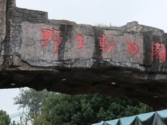 -合肥野生动物园