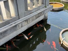 -石峰岩寺