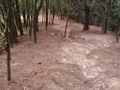 -白云山风景名胜区