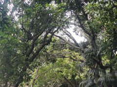 -中国茶叶博物馆(双峰馆区)