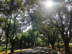 -Willing·Coffee&Brunch&Dinner(万达店)