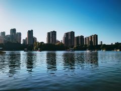 -青枫公园