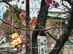 -难波八坂神社