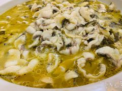 -周正水煮活鱼·吊水鱼(万科店)