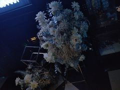 -黑桃K生日订制KTV