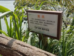 -羚羊峡古栈道森林公园