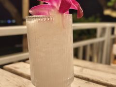 -卷心菜和避孕套餐厅(Pattaya)