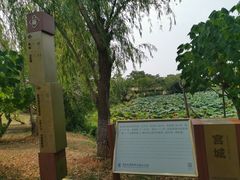 -盘龙城国家考古遗址公园