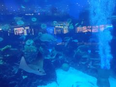 -成都浩海立方海洋公园